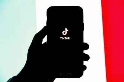 A collage of diverse TikTok creators representing different niche communities, showcasing the platform's vibrant and inclusive ecosystem where users come together to celebrate their passions and interests.